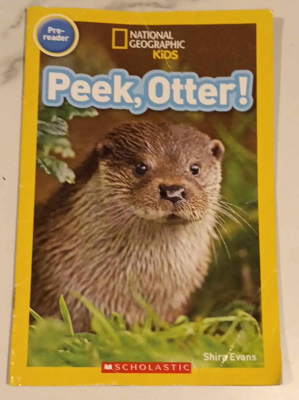 Book Cover of Otter